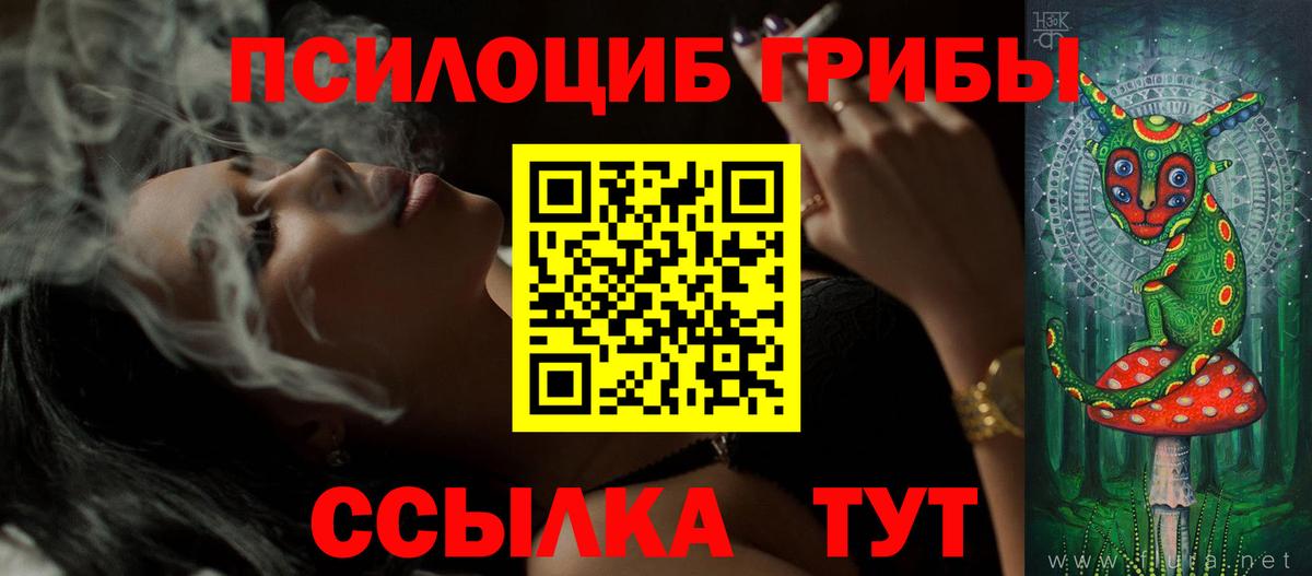 Псилоцибиновые грибы прущие грибы Подольск